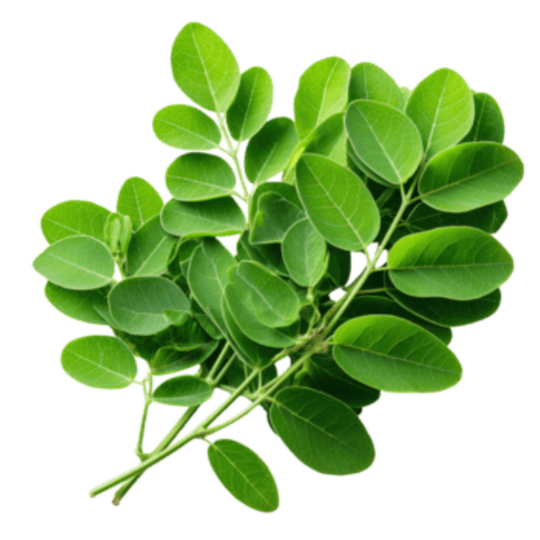 KAMILI MORINGA OLEIFERA FRESH LEAVES 85G